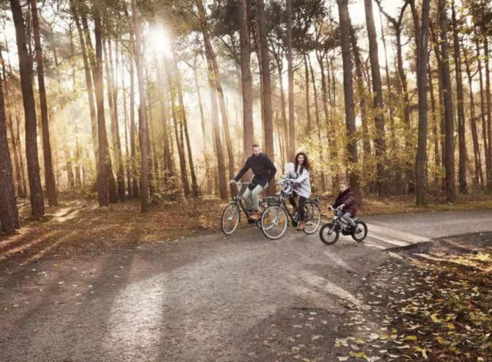 Glamping Lodge With Eco-Wellness Zeewolde Extérieur photo