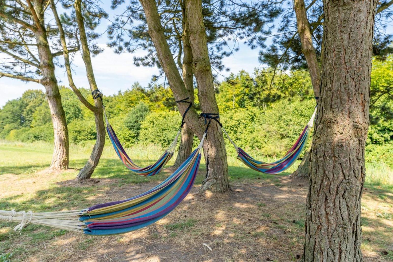 Glamping Lodge With Eco-Wellness Zeewolde Extérieur photo